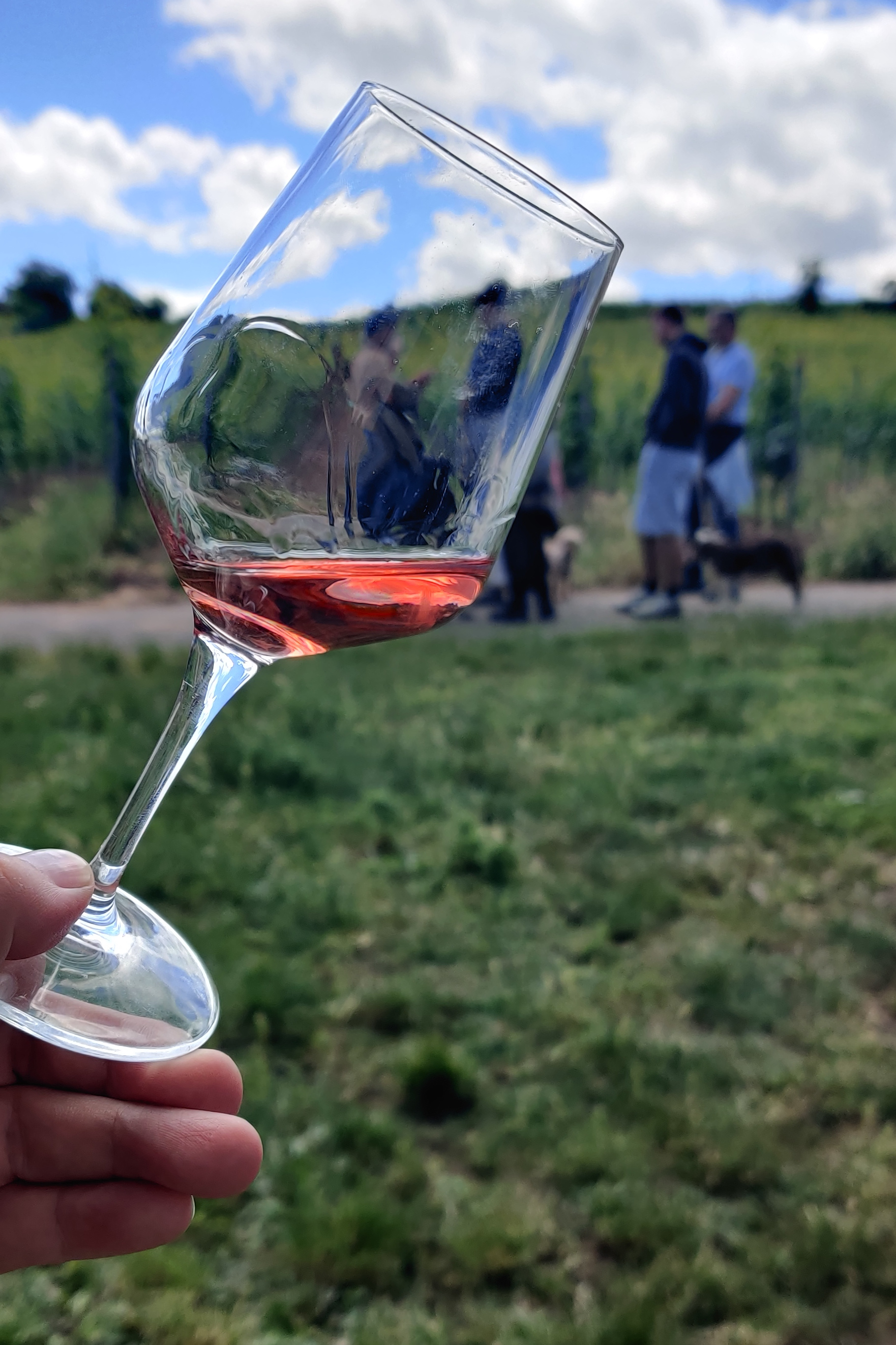 Wandergruppe durch ein Stielglas fotografiert