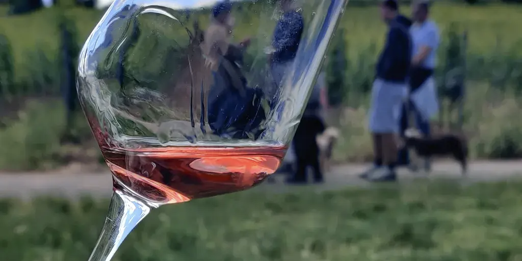 Weinwanderung