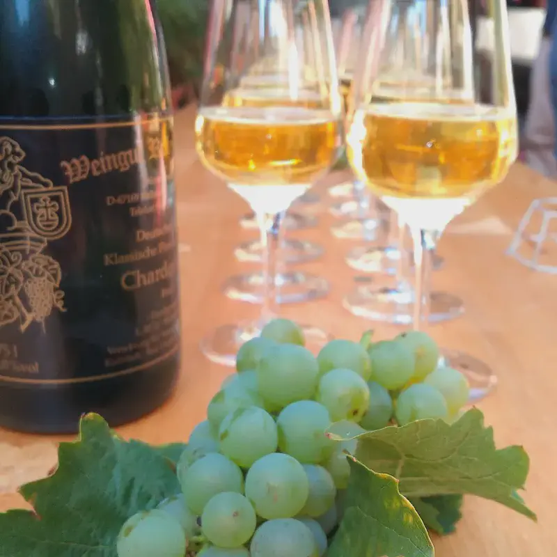 Begrüßungssekt im Weingut Christ