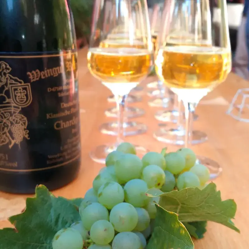 Begrüßungssekt im Weingut Christ